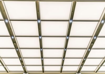 CITIBANK HG, NYC | Photo ©  Harry Vitebski | Image is Property of Apogee Lighting Holdings